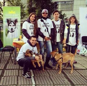 Активист Молодежной палаты поселения Сосенское Александр Дорнгоф принял участие в благотворительной выставке бездомных животных
