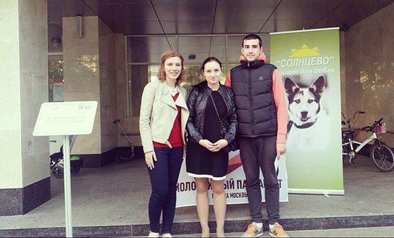 Сосенским молодым парламентариям удалось собрать свыше 70 кг корма для бездомных собак 