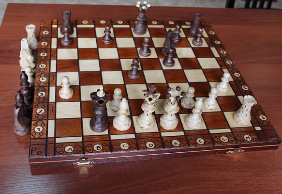Необычное занятие по шахматам прошло у первоклассников