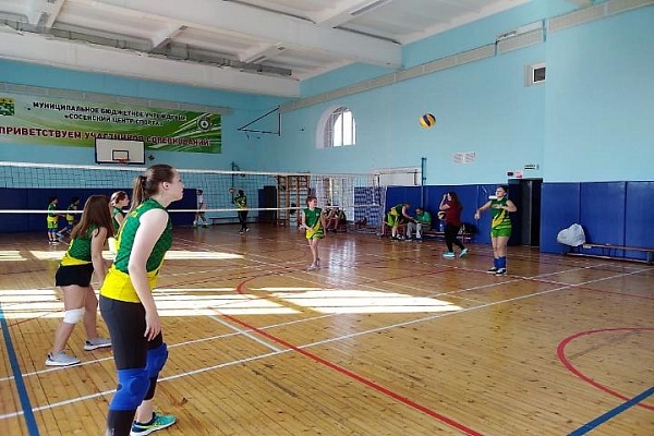 Отборочные соревнования по волейболу прошли в Сосенском
