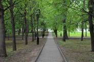 Парк площадью 27 гектаров появится на территории поселения Сосенское