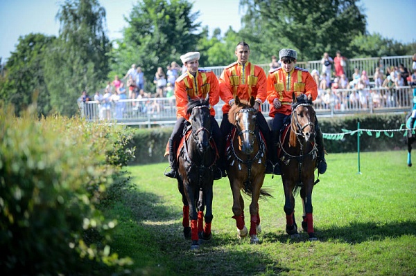 Жителей поселения Сосенское позвали на соревнования по конному спорту