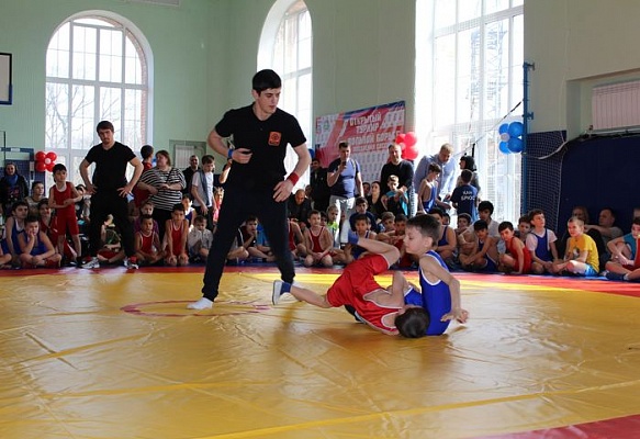 Сосенские спортсмены примут участие в первенстве по вольной борьбе
