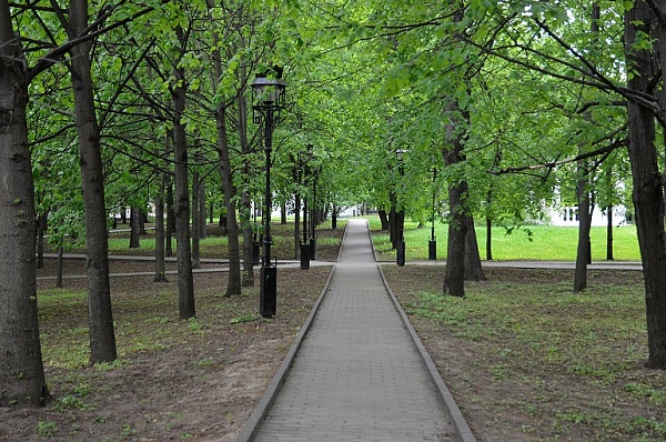 Парк площадью 27 гектаров появится на территории поселения Сосенское