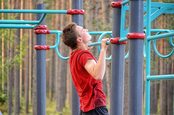 В Липовом парке проходят открытые спортивные тренировки