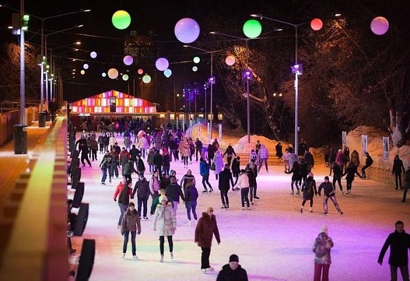 Фигурное катание, конкурс снеговиков, лыжные забеги: какие зимние развлечения для столичных парков выбрали «активные граждане»