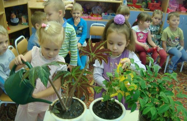 Урок бережного отношения к природе состоялся в детском саду поселения