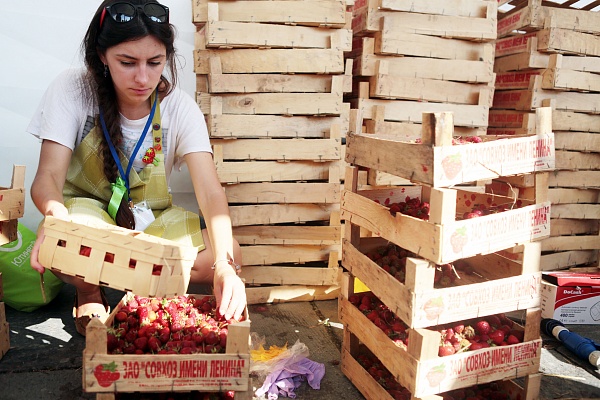 Активисты проверят точки продаж черешни и клубники на соблюдение правил торговли
