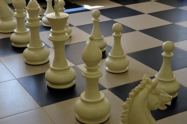 Столичных школьников пригласили принять участие в онлайн-занятии по шахматам