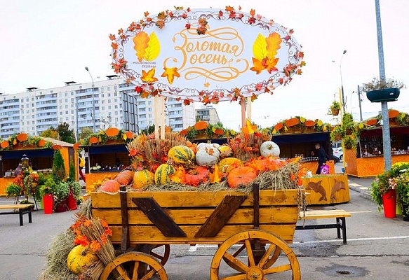 Москвичам предлагают оценить фестиваль «Золотая осень» 