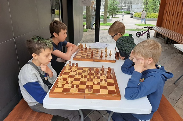 Соревнования по шахматам и шашкам пройдут в Липовом парке 