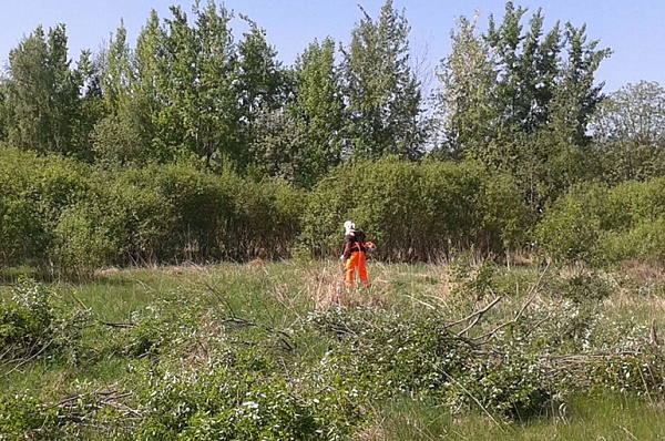 Водоемы в поселении Сосенское очистят от валежника и мусора