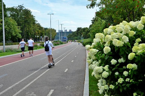 Владимир Жидкин: Свыше 35 километров велодорожек введут в ТиНАО к 2025 году