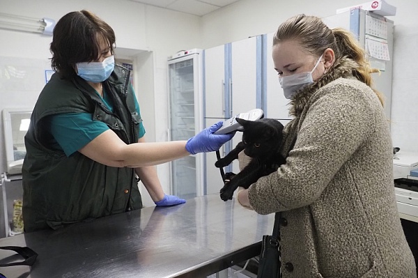 Профилактическую вакцинацию домашних животных организуют в Сосенском 