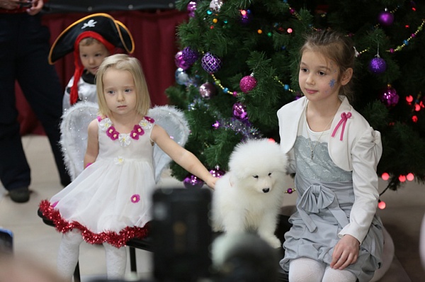 Новогодняя елка для детей пройдет в Сосенском