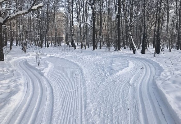 В Сосенском подготовили маршруты для лыжников